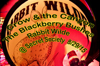 Crow_Canyon, Blackberry Bushes, Rabbit Wilde
