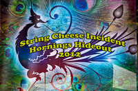 SCI Hornings 2012